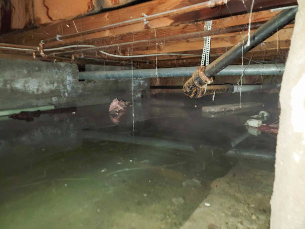 Best Commercial water damage restoration  in Red Bank, NJ