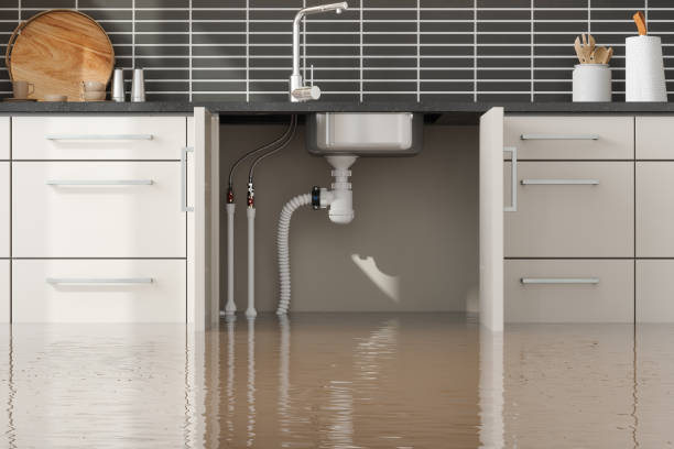 Best Water damage restoration near me  in Red Bank, NJ
